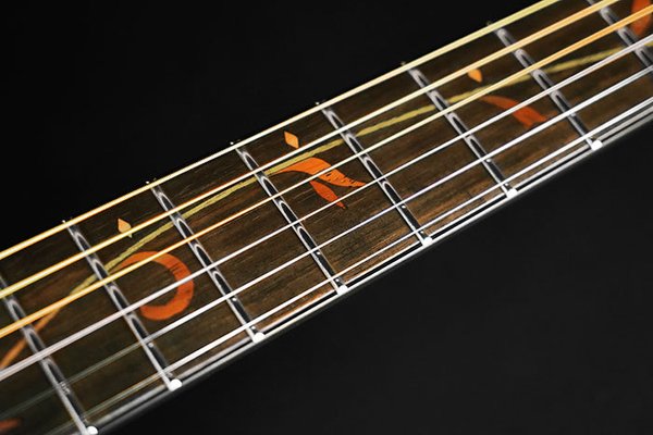 IBANEZ AE275-LGS AE Series Akustikgitarre